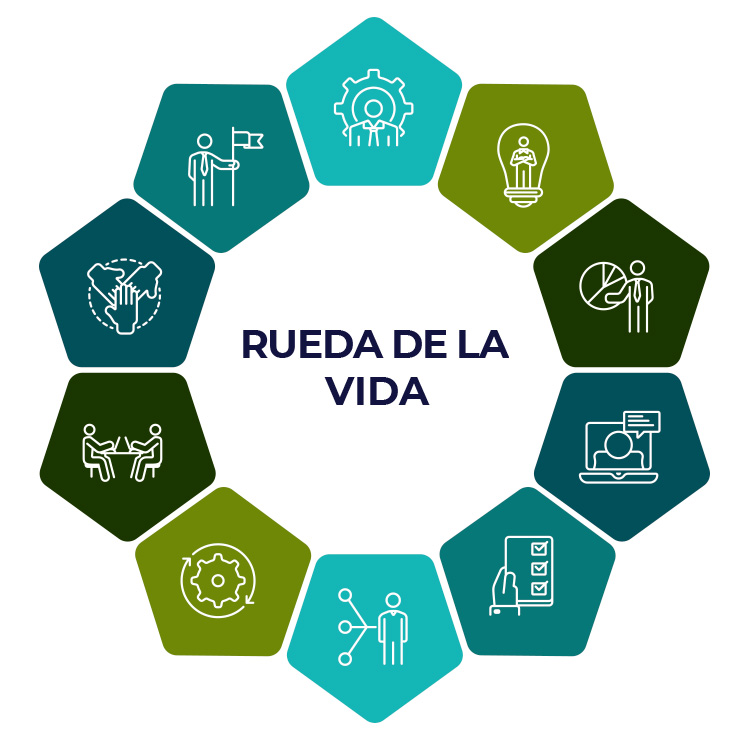 Rueda de la vida