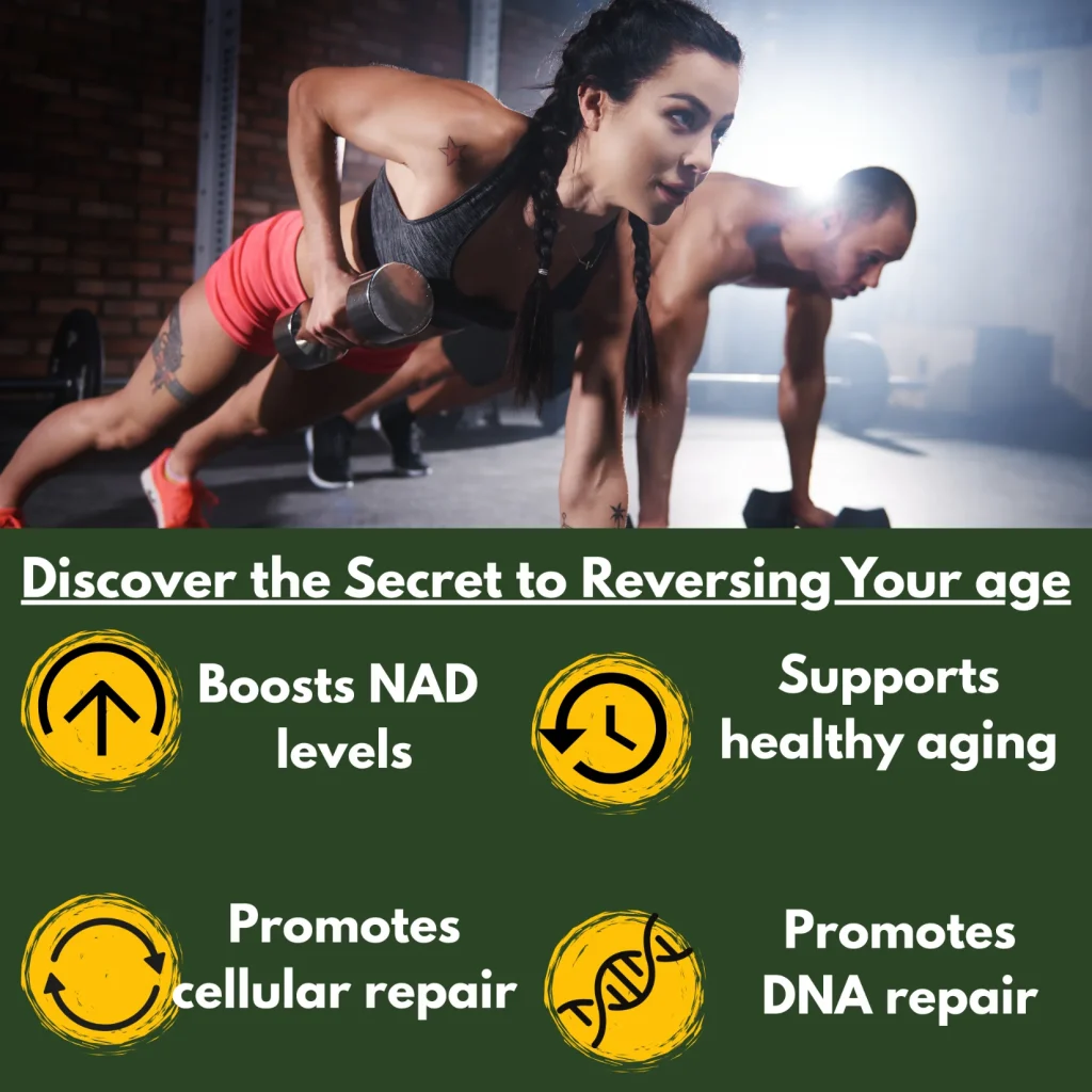 Ribosido de nicotinamida liposomal