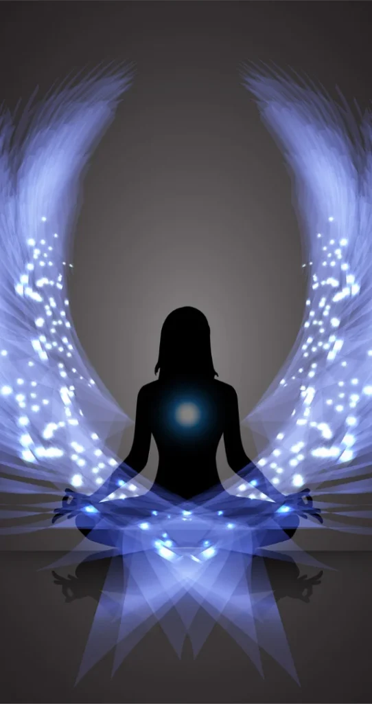 Wellnespace sistemático